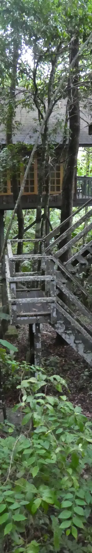 Übernachtung im Regenwald